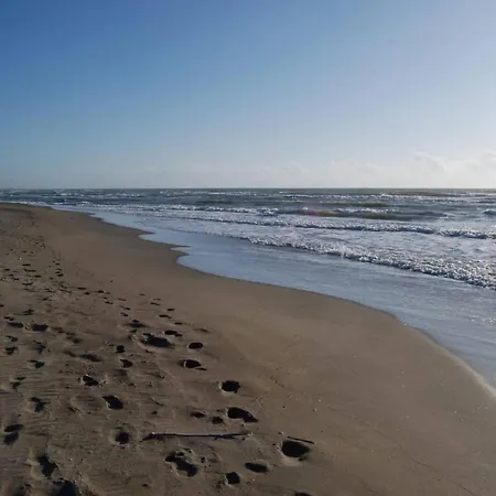 Casa Zefiro, Tra Pineta E Mare! *