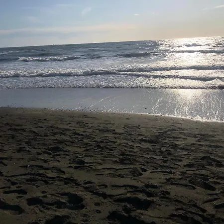 Casa Zefiro, Tra Pineta E Mare! Fregenae